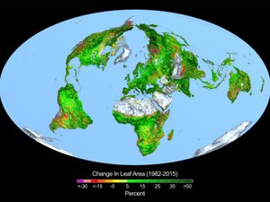 Read article: Carbon dioxide fertilization greening Earth, study finds