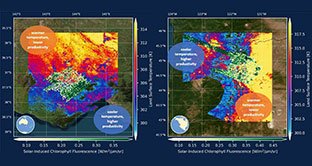 The aim of this new data product is to provide users with synergistic, high-quality data of terrestr