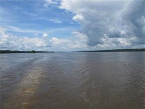 Read article: Greenhouse gas emissions from African rivers