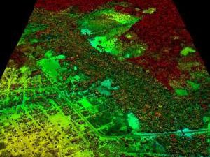 Read article: Carbon Mapping Breakthrough