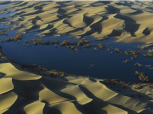 Read article: 'Carbon sink' detected underneath world's deserts