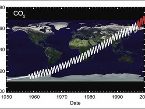Read article: NASA Carbon Mission to Improve Future Climate Change Predictions