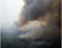 Read article: Wetlands: Drying Intensifying Wildfires, Carbon Release Ninefold, Study Finds