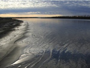 Read article: River buries permafrost carbon at sea